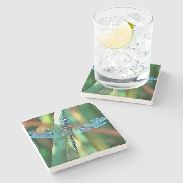 Fantasy Dragonfly In Turquoise and Black Stone Coaster (Side)