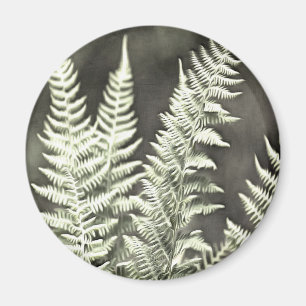 Fantasy Feather Like Fern Magnet