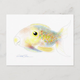 Fantasy Fish: Polly Post Cards