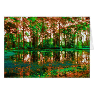 Fantasy Forest by Shirley Taylor
