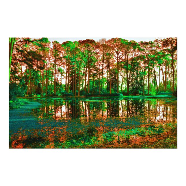 Fantasy Forest by Shirley Taylor Photo Print (Front)