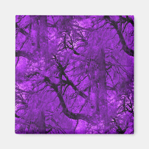 Fantasy Forest... Magnet