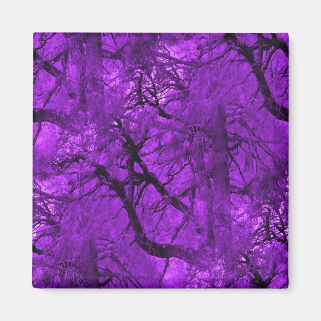 Fantasy Forest... Magnet (Front)