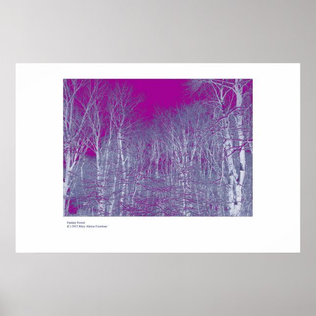 Fantasy Forest Poster (Front)