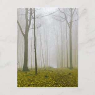 Fantasy forest with fog and yellow foliage postcard