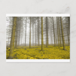 fantasy forest with fog and yellow foliage postcard