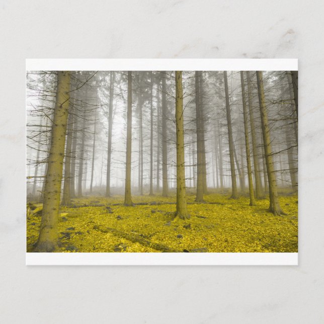 fantasy forest with fog and yellow foliage postcard (Front)