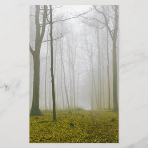 Fantasy forest with fog and yellow foliage stationery
