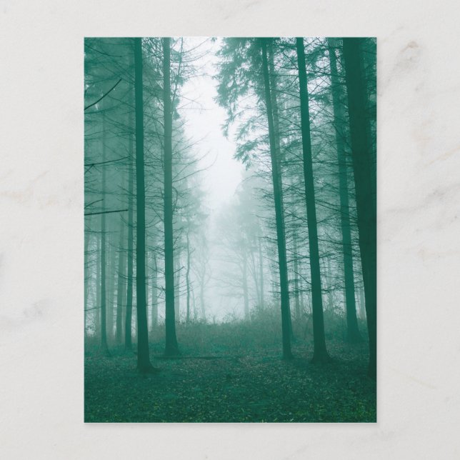Fantasy forest with fog in Green Postcard (Front)