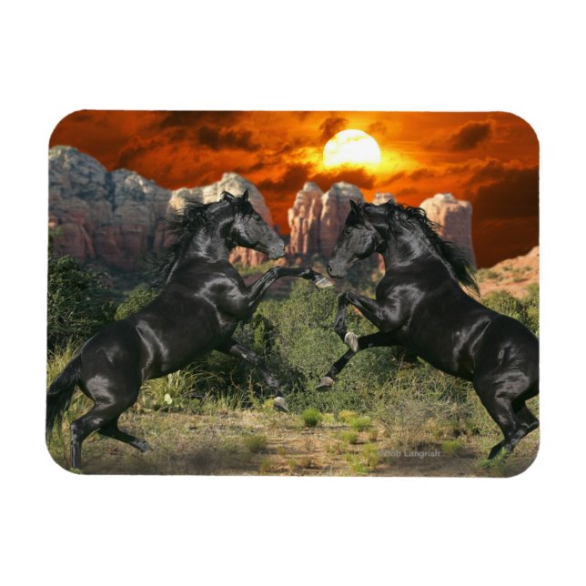 Fantasy Horses: Black Magic Magnet (Horizontal)
