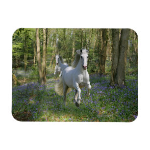 Fantasy Horses: Bluebell Wood Magnet