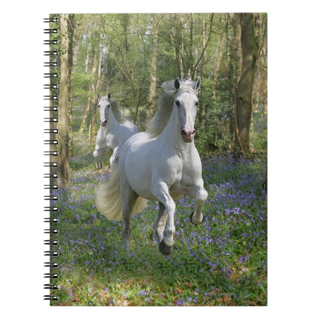 Fantasy Horses: Bluebell Wood Notebook (Front)