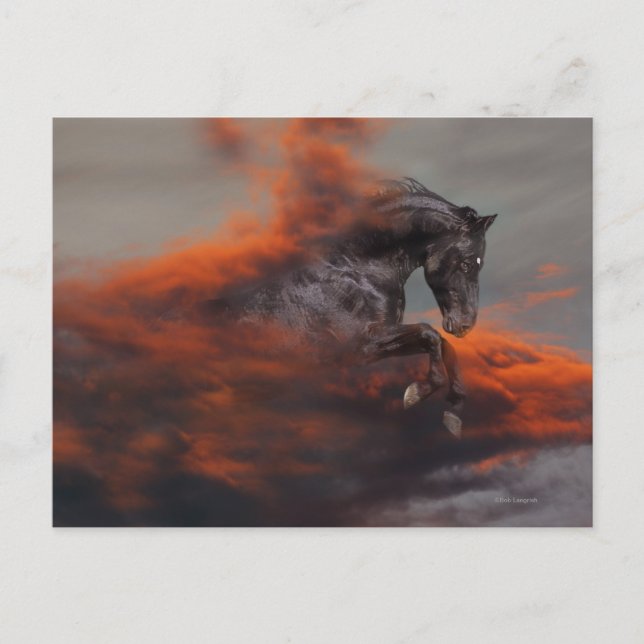 Fantasy Horses: Clouds Postcard (Front)