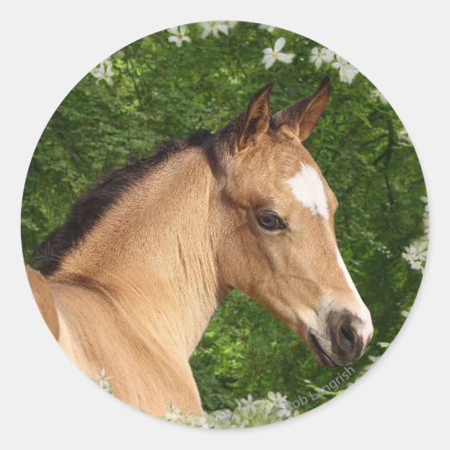 Fantasy Horses: Flowers Classic Round Sticker (Front)