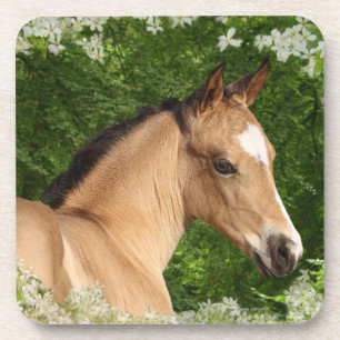 Fantasy Horses: Flowers Coaster