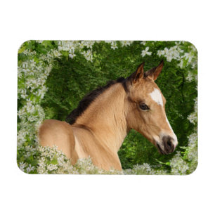 Fantasy Horses: Flowers Magnet