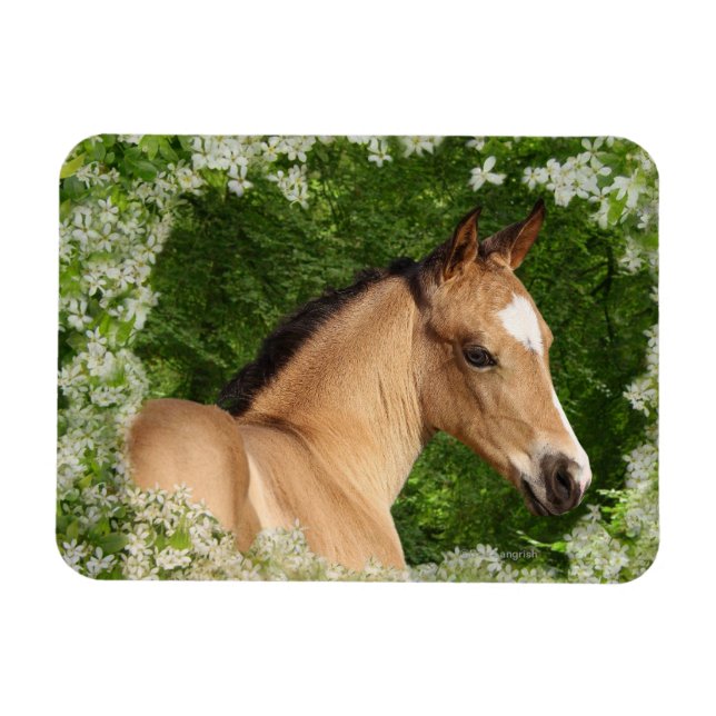 Fantasy Horses: Flowers Magnet (Horizontal)