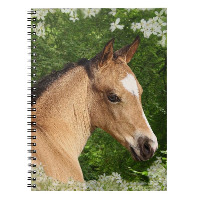 Fantasy Horses: Flowers Notebook (Front)