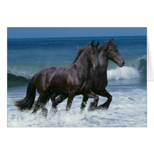 Fantasy Horses: Friesians & Sea