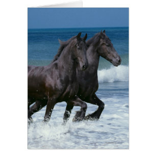 Fantasy Horses: Friesians & Sea