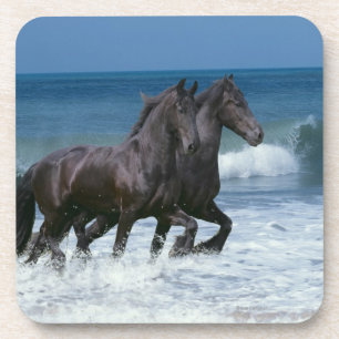 Fantasy Horses: Friesians & Sea Coaster