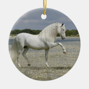 Fantasy Horses: Lord of the Lake Ceramic Tree Decoration
