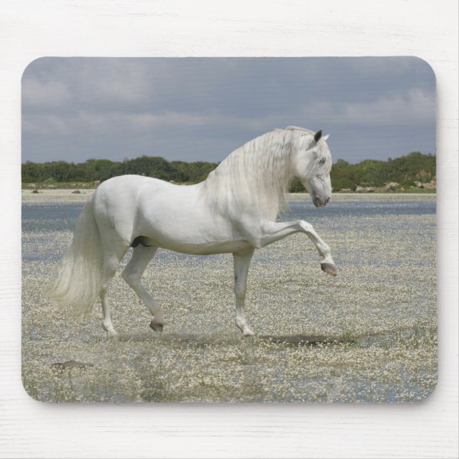 Fantasy Horses: Lord of the Lake Mouse Pad (Front)