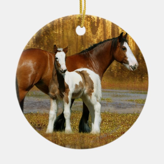Fantasy Horses: Mare & Foal Ceramic Tree Decoration (Front)