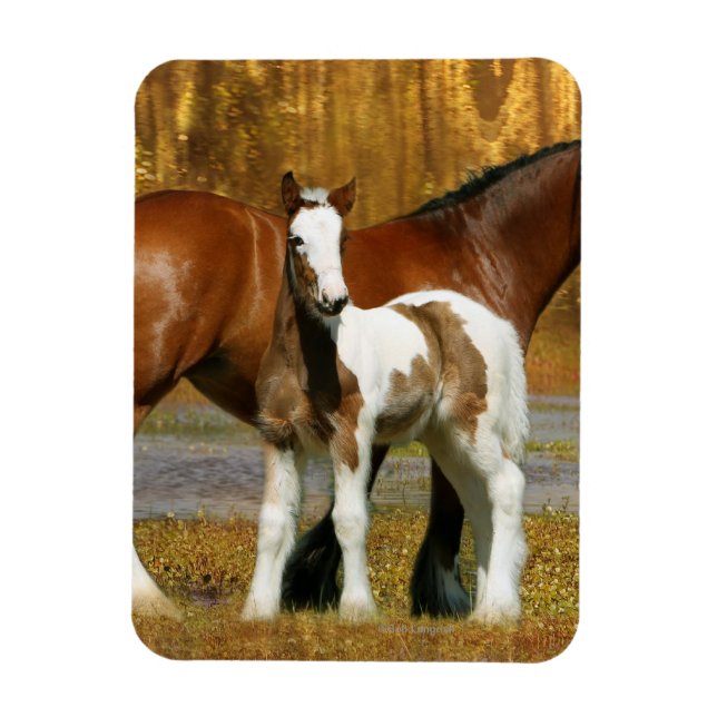 Fantasy Horses: Mare & Foal Magnet (Vertical)