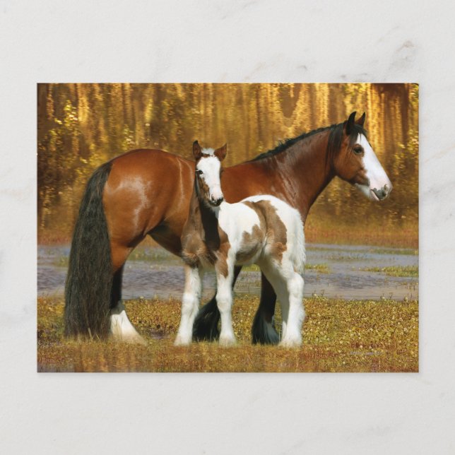 Fantasy Horses: Mare & Foal Postcard (Front)