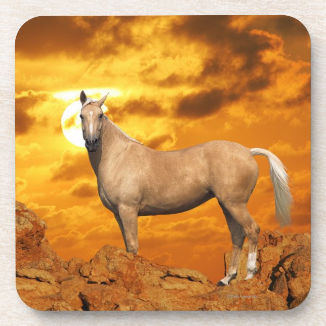 Fantasy Horses: Mountain Coaster (Front)