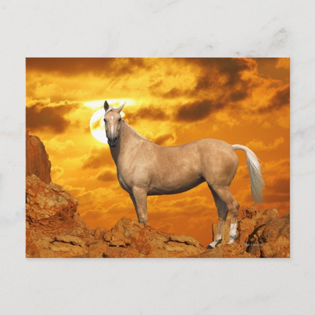 Fantasy Horses: Mountain Postcard (Front)