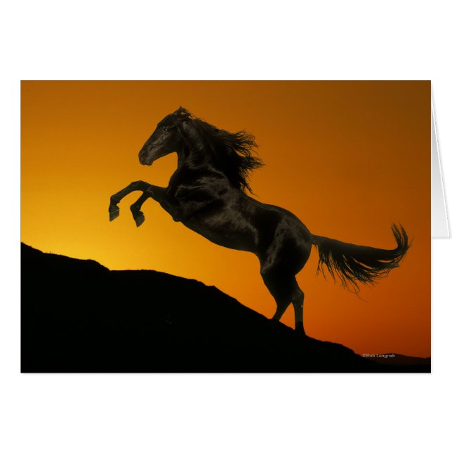 Fantasy Horses: Mountain Sunset (Front Horizontal)