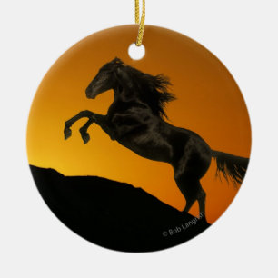 Fantasy Horses: Mountain Sunset Ceramic Ornament