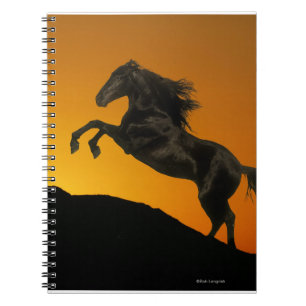Fantasy Horses: Mountain Sunset Notebook