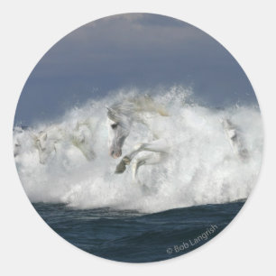 Fantasy Horses: Sea Classic Round Sticker