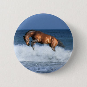 Fantasy Horses: Selle Francais & Sea 6 Cm Round Badge