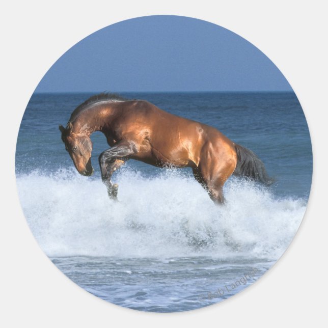 Fantasy Horses: Selle Francais & Sea Classic Round Sticker (Front)
