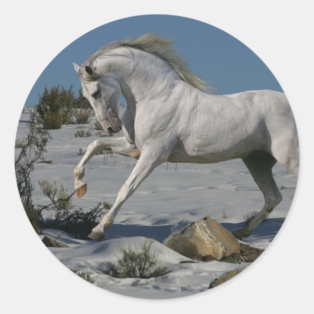 Fantasy Horses: Snow King Classic Round Sticker (Front)