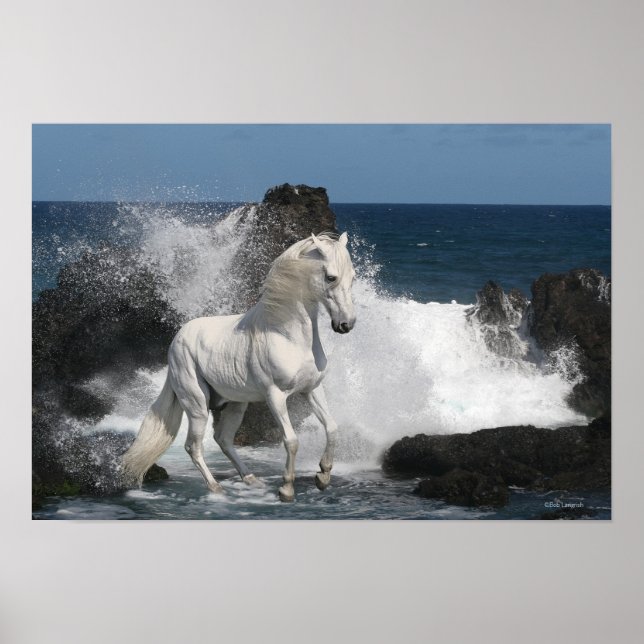 Fantasy Horses: Southern Seas Poster (Front)