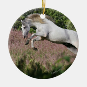 Fantasy Horses: Spring Gallop Ceramic Tree Decoration