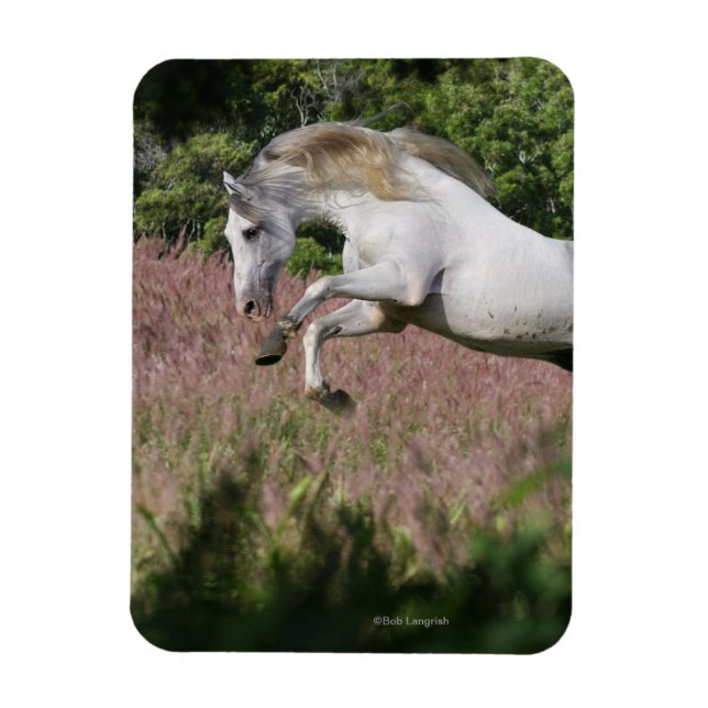 Fantasy Horses: Spring Gallop Magnet (Vertical)