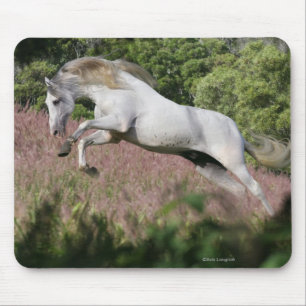 Fantasy Horses: Spring Gallop Mouse Pad