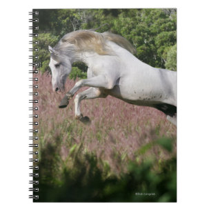 Fantasy Horses: Spring Gallop Notebook