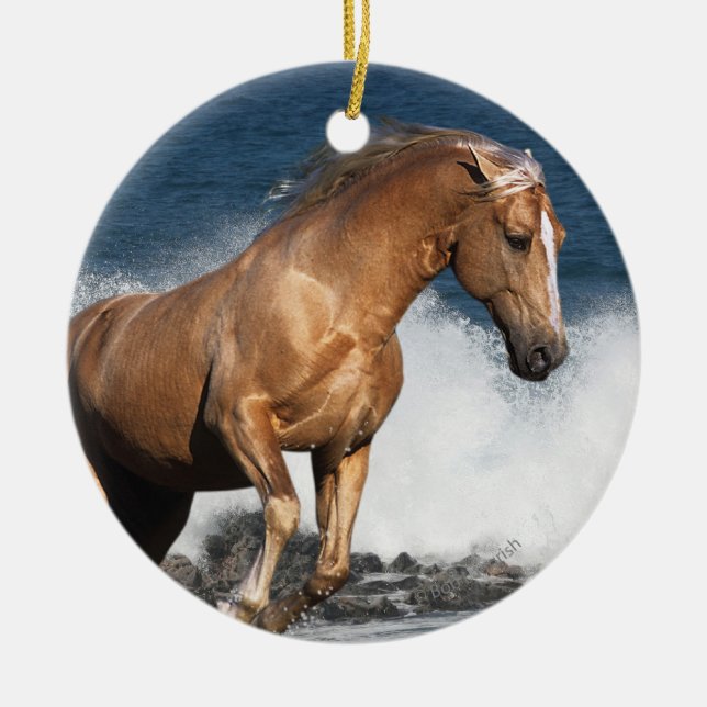 Fantasy Horses: Summer Splash Ceramic Ornament (Front)