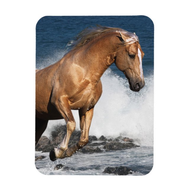 Fantasy Horses: Summer Splash Magnet (Vertical)