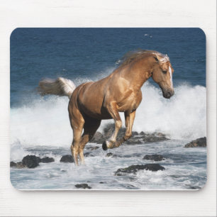 Fantasy Horses: Summer Splash Mouse Pad
