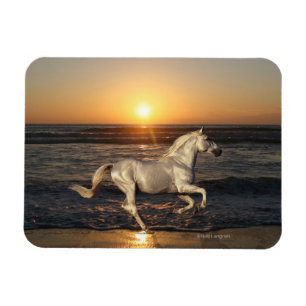 Fantasy Horses: Sunset Magnet