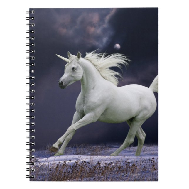 Fantasy Horses: Unicorn Notebook (Front)