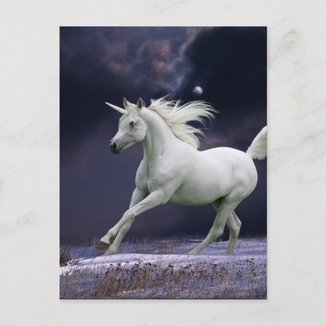 Fantasy Horses: Unicorn Postcard (Front)